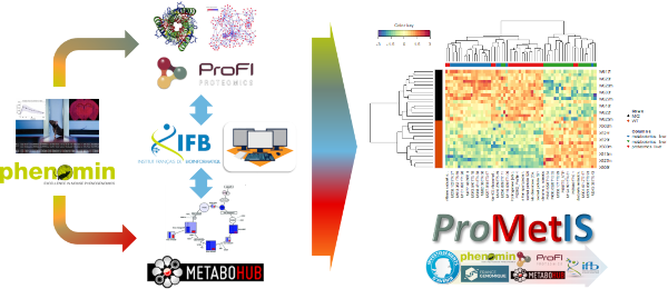 ProMetIS, Deep phenotyping of mouse models by combined proteomics and metabolomics analysis (Imbert et al., 2021)